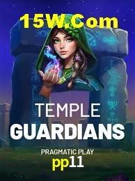 VIP Casino pp11