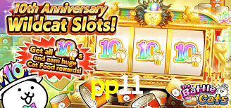 pp11