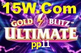 pp11,pp11.com