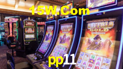 pp11,pp11.com
