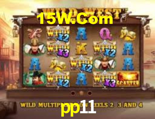 pp11.com