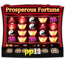pp11,pp11.com