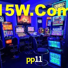 pp11.com